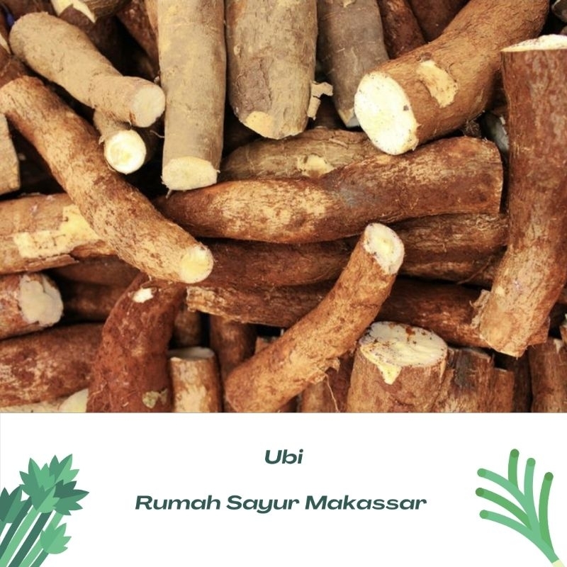 

ubi kayu perkantong