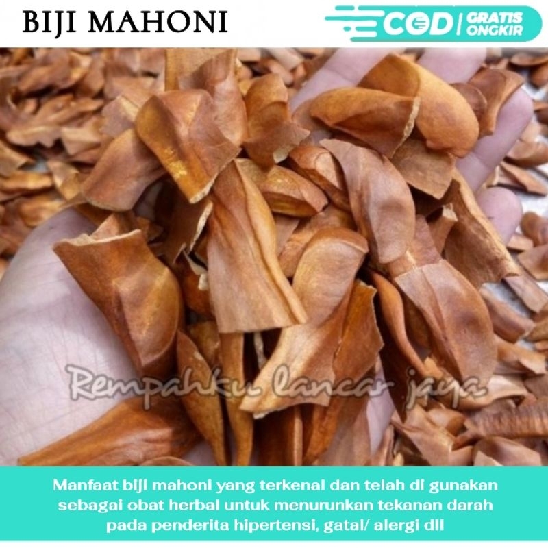 

RL Biji Mahoni kering 1kg Murni SUPER