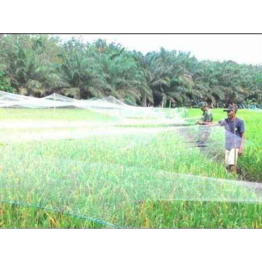 Jaring burung  PANJANG 93METER LEBAR2.5METER  Lubang - jari longgar cocok 0.12-100X100YOKO untuk kut