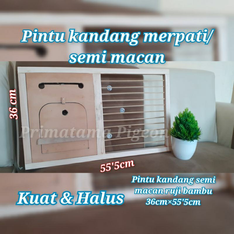 Pintu kandang merpati/semi macan uk 36cm×55'5cm