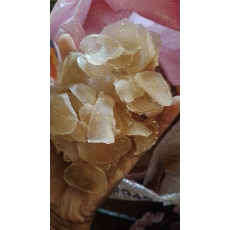 

kRupUk ikaN
