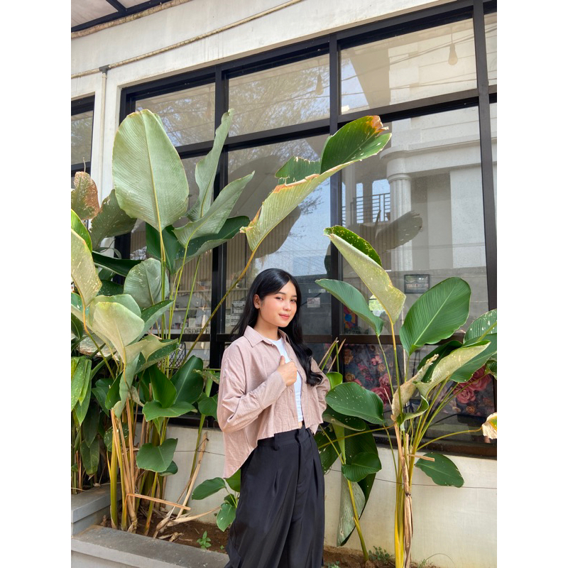 LOWI POLO LINEN // KEMEJA CROP POLO LINEN // KEMEJA CROP PANJANG BELAKANG