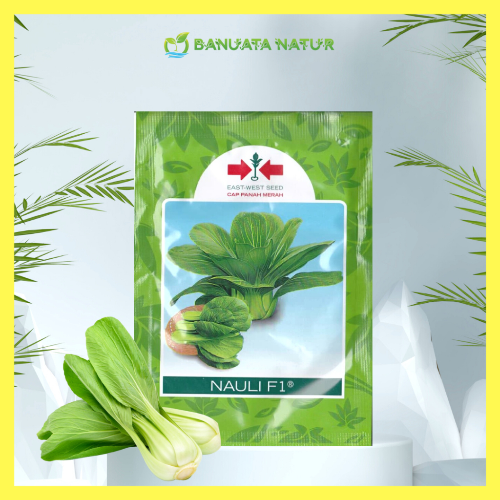 BENIH BIBIT SAWI DAGING PAKCOY NAULI F1 (10 gr) - Panah Merah Berkualitas - Banuata