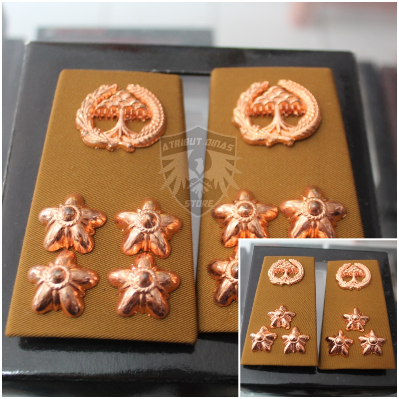 Pangkat PNS Lampung Golongan 2c 2d Pangkat ASN Lampung KAIN