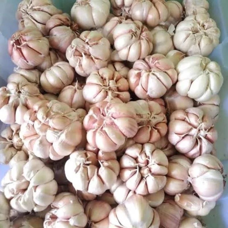 

Bawang Putih Sico 1kg