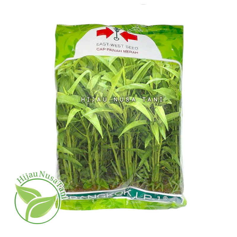 Benih KANGKUNG BANGKOK CAP PANAH MERAH 1 kg 1kg EAST WEST SEED -  Pack Kemasan Asli Pabrik Kangkung 