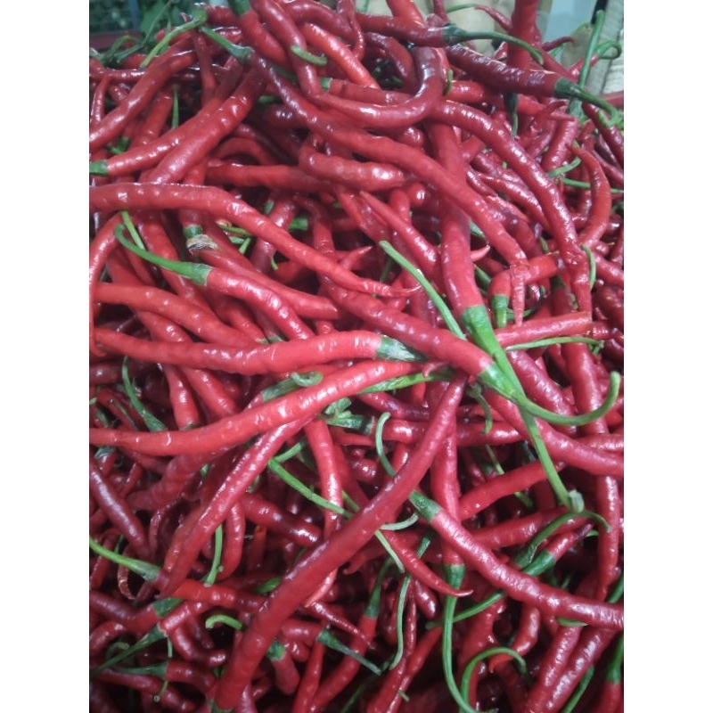 

Cabe merah Keriting Fress 250gr
