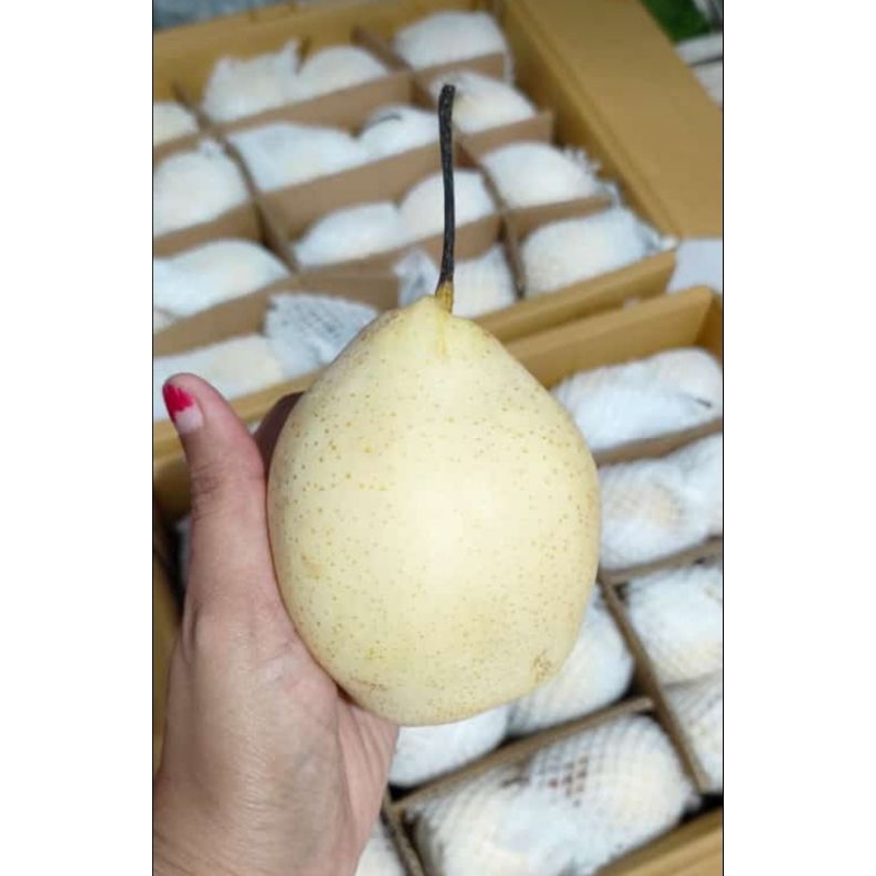 

Pir Yalie 1kg|Manis Kress masih Fresh