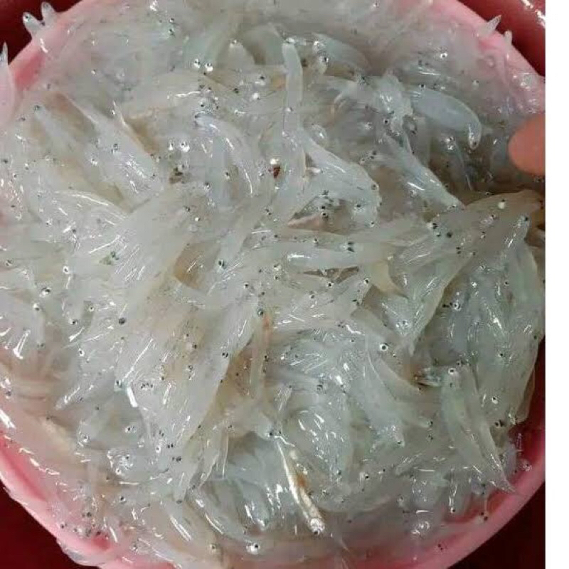 

Teri Nasi Basah