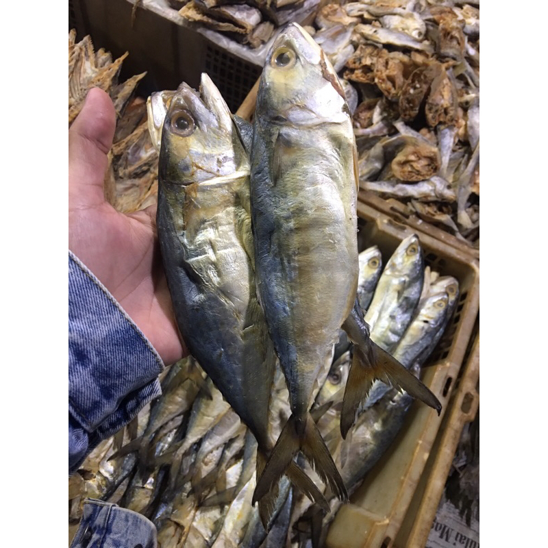 

ikan asin peda/gembong