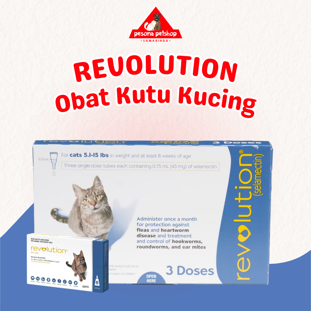 Revolution Cat Blue & Plus Orange Obat Kutu Kucing