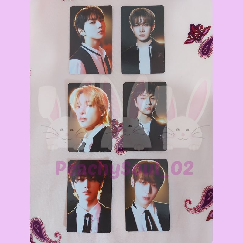 READY - PHOTOCARD OFFICIAL ENHYPEN DARK BLOOD WEVERSE VERSION (No.Inc Packing)