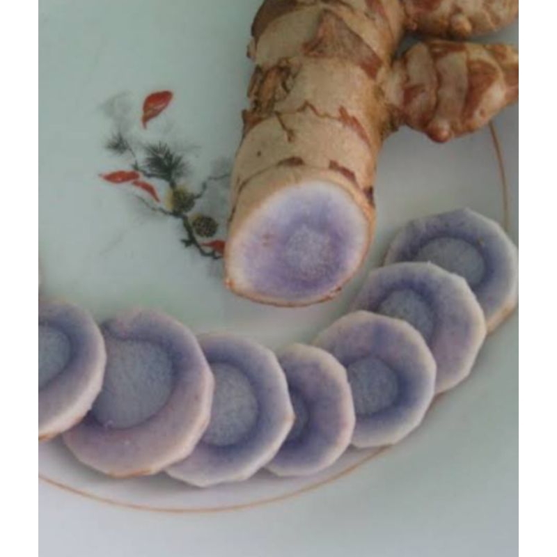 

kunyit hitam segar 1kg