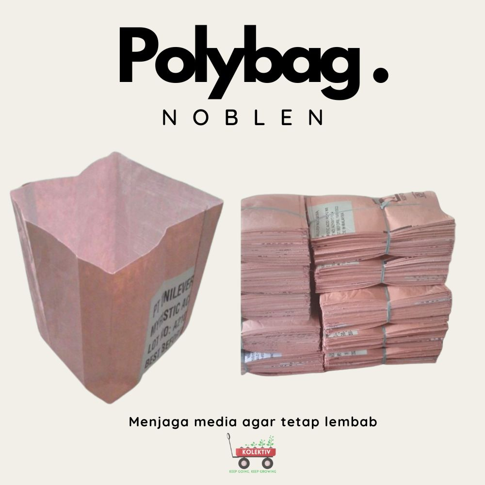 Polybag Noblen 55x60