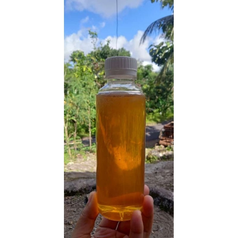 

madu lebah murni/asli (250ml)