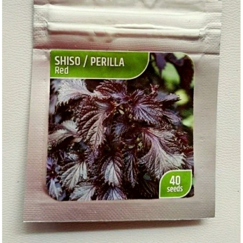 Benih Biji Shiso Perilla - Red Purple Pack