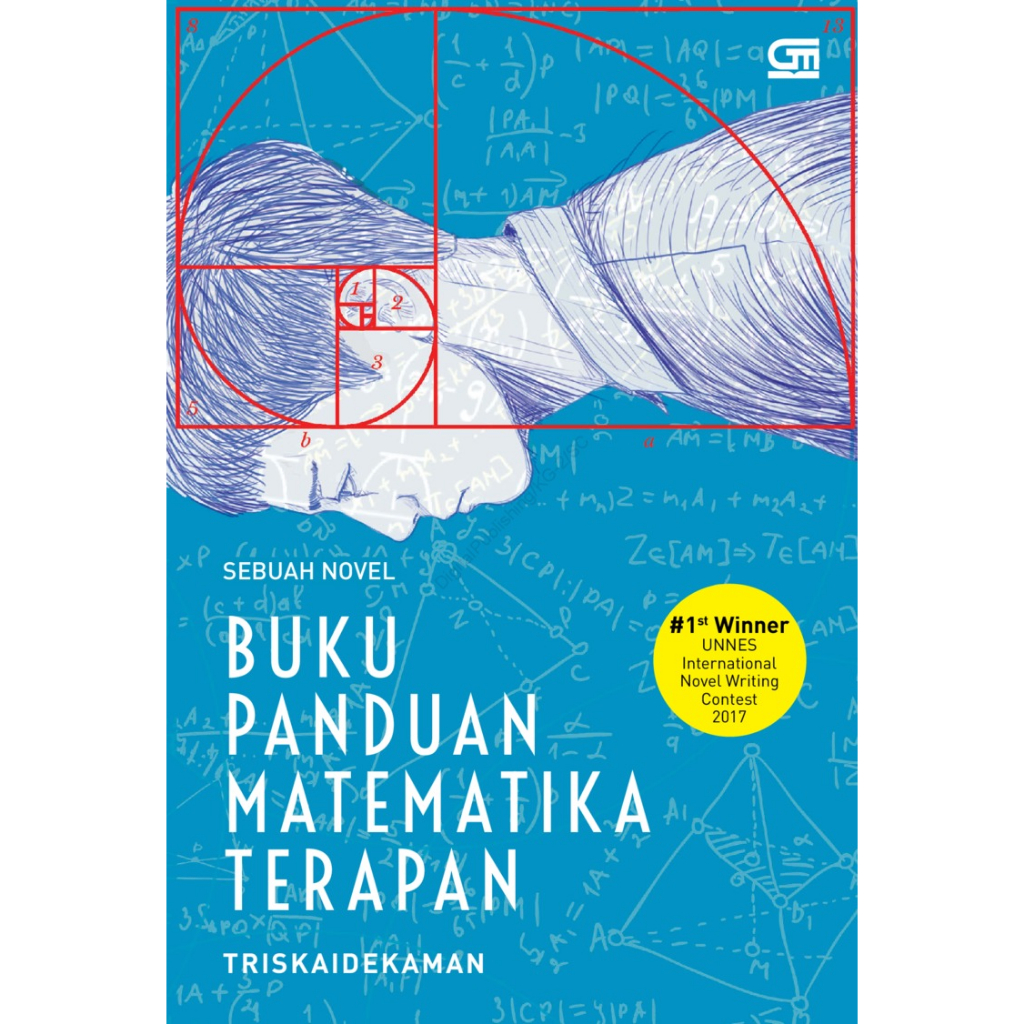 Buku Panduan Matematika Terapan (sebuah novel)
