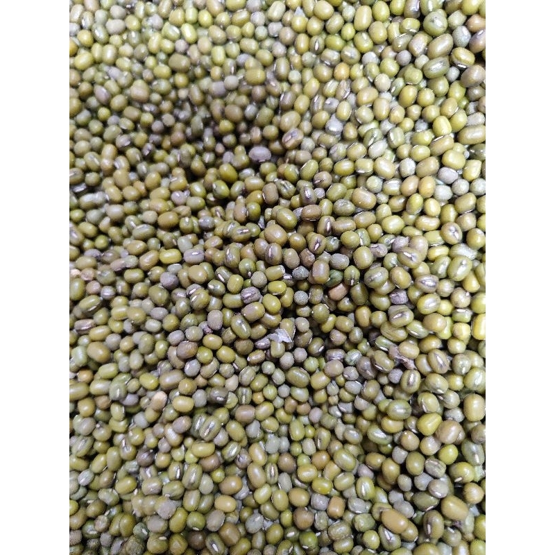 

Kacang hijau 250gram