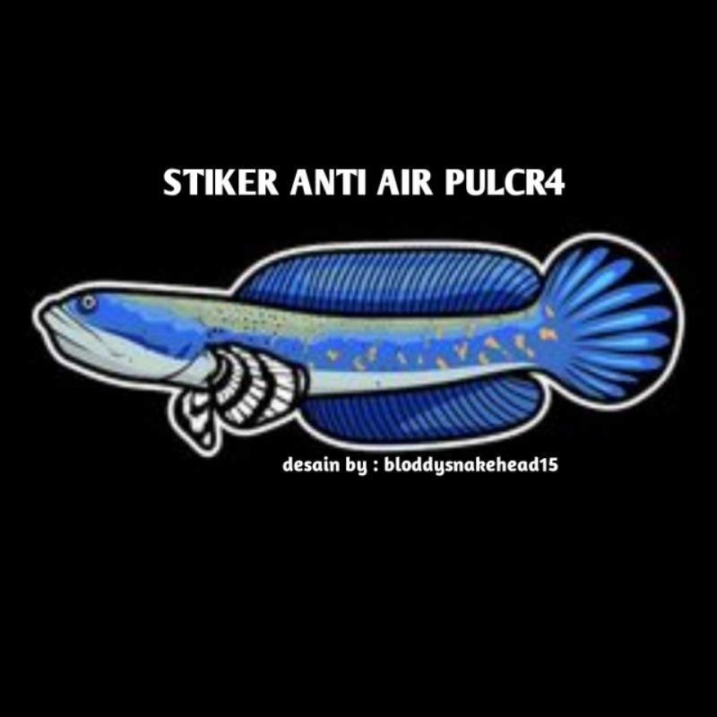 

Stiker anti air channa pulcra