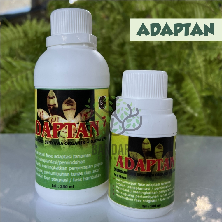 Adaptan Pupuk Cair B-1 Khusus Tanaman Anggrek Kecil Remaja