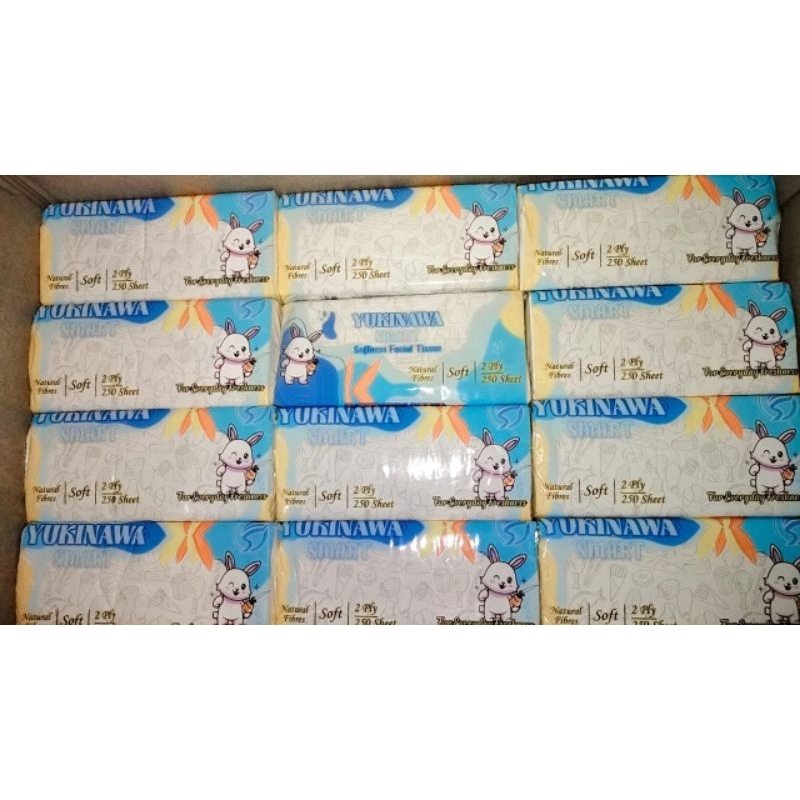 Tissue yukinawa 250 sheet