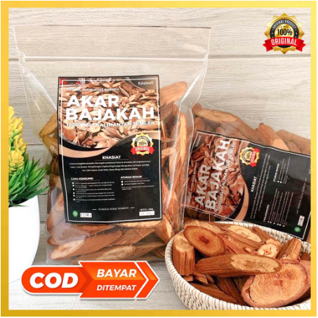 

Akar Bajakah 1kg Kalalawit Merah Asli Kalimantan