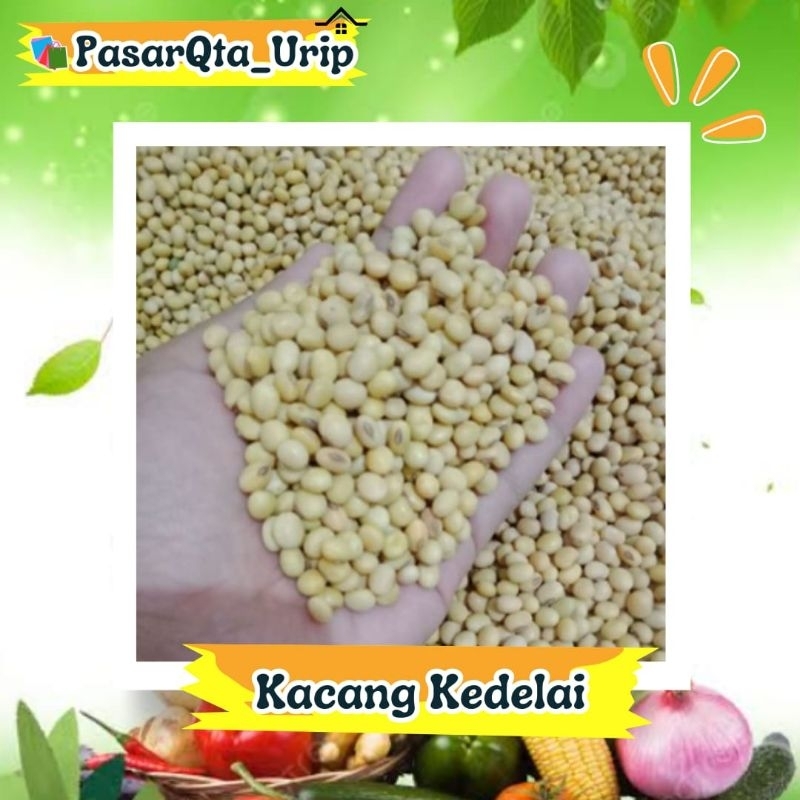 

Kacang kedelai/ pasar online makassar