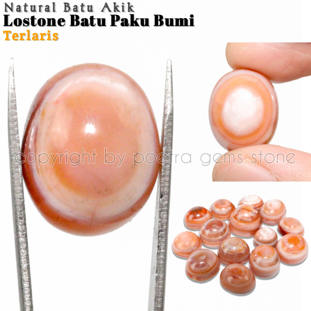 Natural Batu Akik Lostone Pakubumi Puser Bumi Mata Dewa