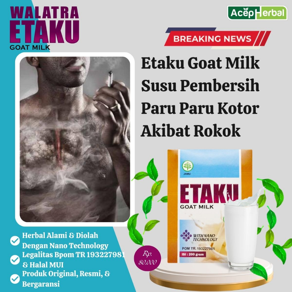 Susu Pembersih Paru Paru Akibat Rokok, Atasi Asma, Sesak Nafas Dan Tbc Dengan Etaku Goat Milk