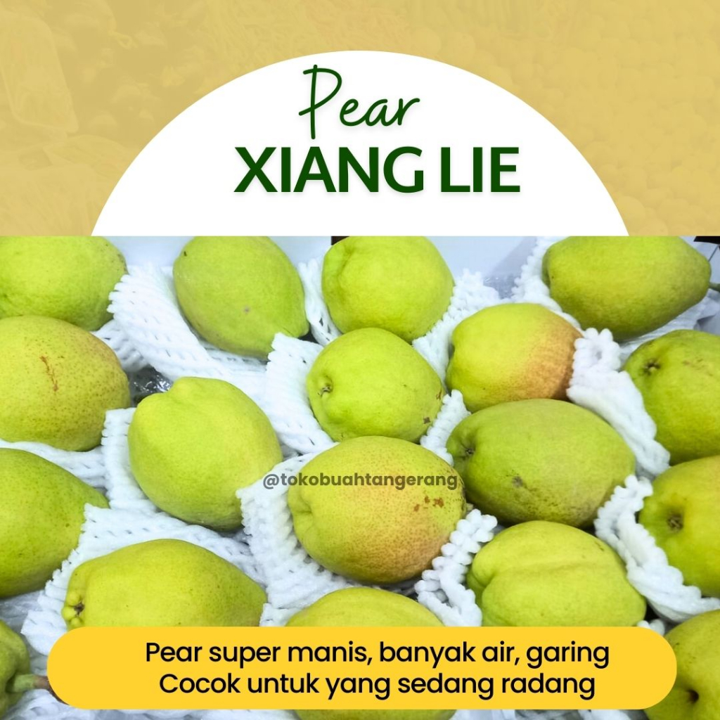 

Pear Xiang Lie Full Manis / Pir Xianglie