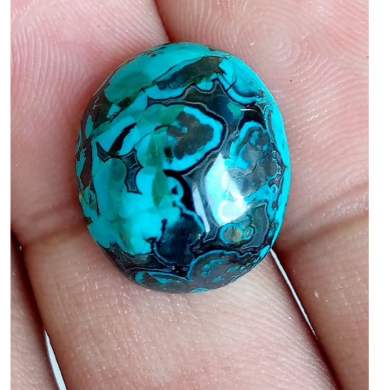 bacan gulau kura