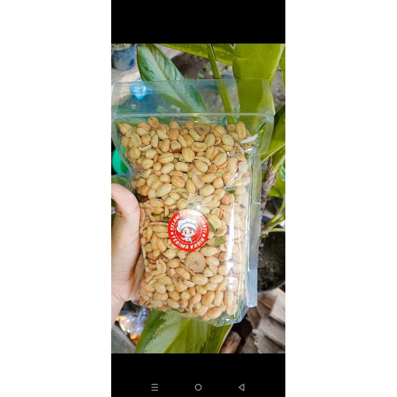

Kacang Tojin