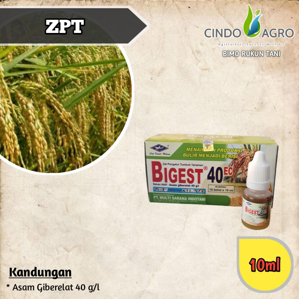 ZPT BIGEST 40 EC - 10ml