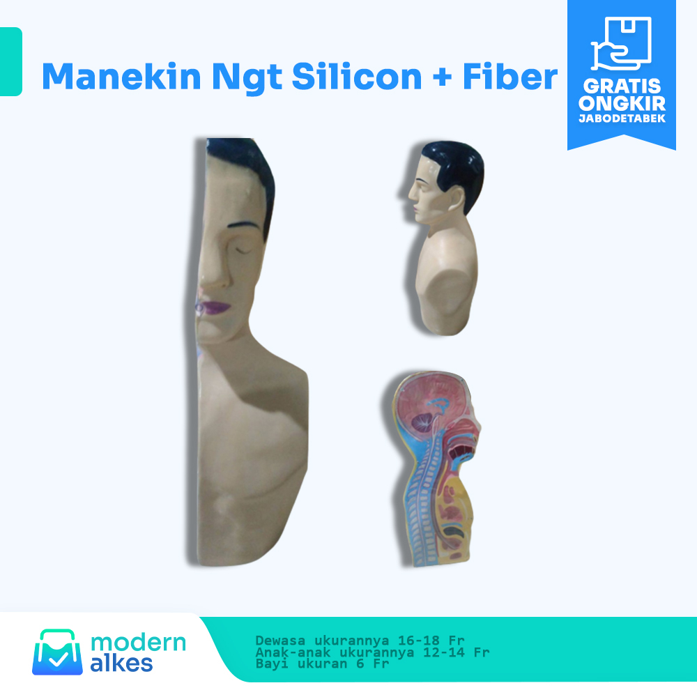 NASOGASTRIC TUBE | MANIKIN NGT | ALAT PERAGA | ALAT PENDIDIKAN | KEDOKTERAN | PHANTOM/MANEKIN NGT