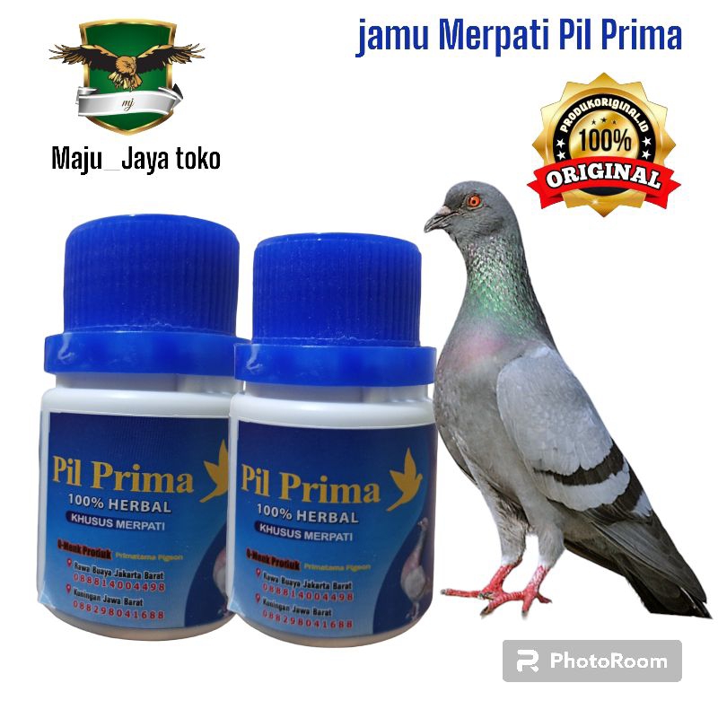 Jamu merpati pil prima menambah stamina merpati