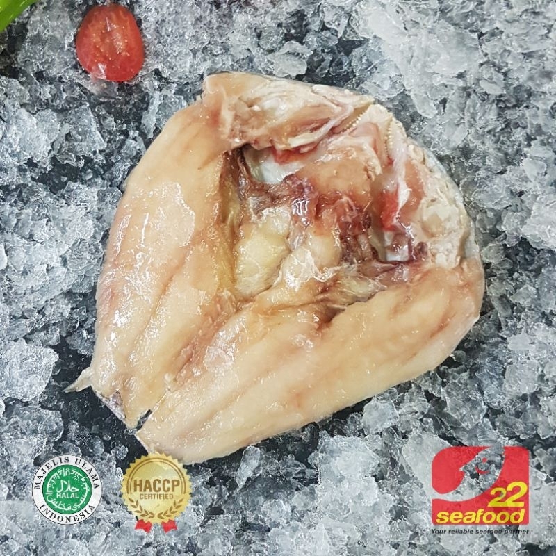 

Lencam Fillet Butterfly 0.5-0.6 Kg / Ikan Lencam Katamba / Seafood 22