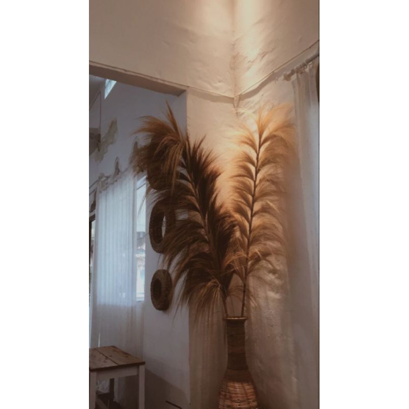 Home Decor Rayung Stik Aneka Warna/ Rayung Kering 21 Tangkai