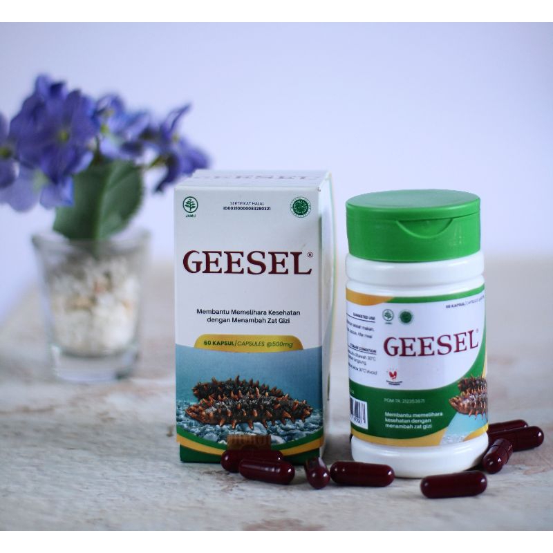 Geesel 60 Kapsul Teripang Superfood