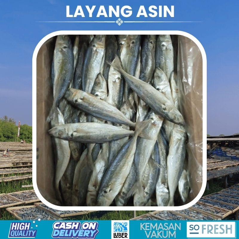 

ikan asin layang kering termurah 1kg