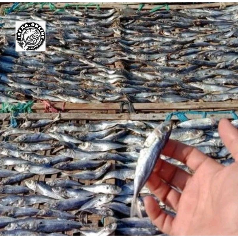 

Ikan Asin Layang Kecil/Klotok Kering