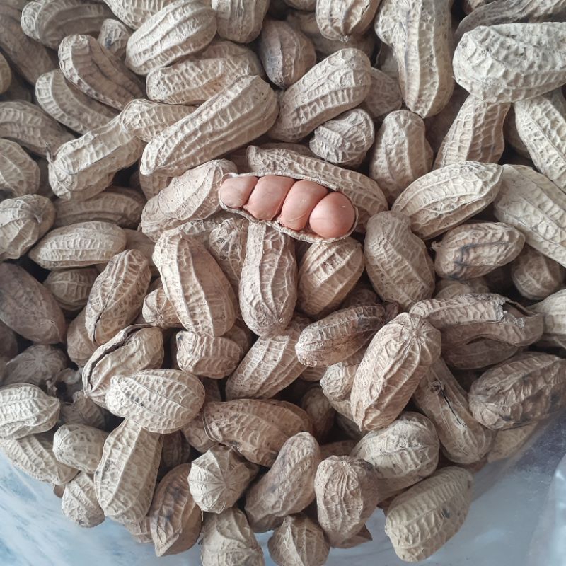 

KACANG SANGRAI SUPER ORIGINAL 1KG SNACK KILOAN