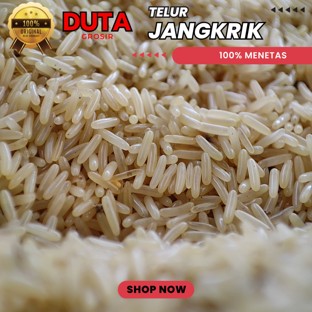 

JUAL TELUR JANGKRIK SOLO GRATIS ONGKOS KIRIM