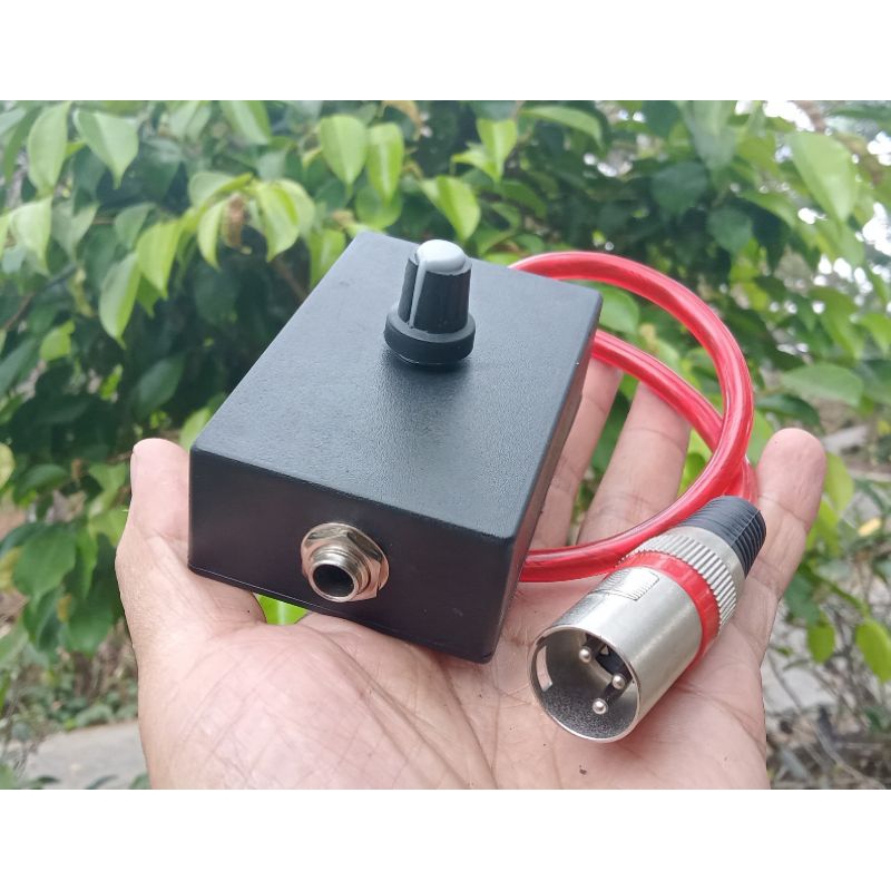 ANTI FEDBACK/STORING MIC