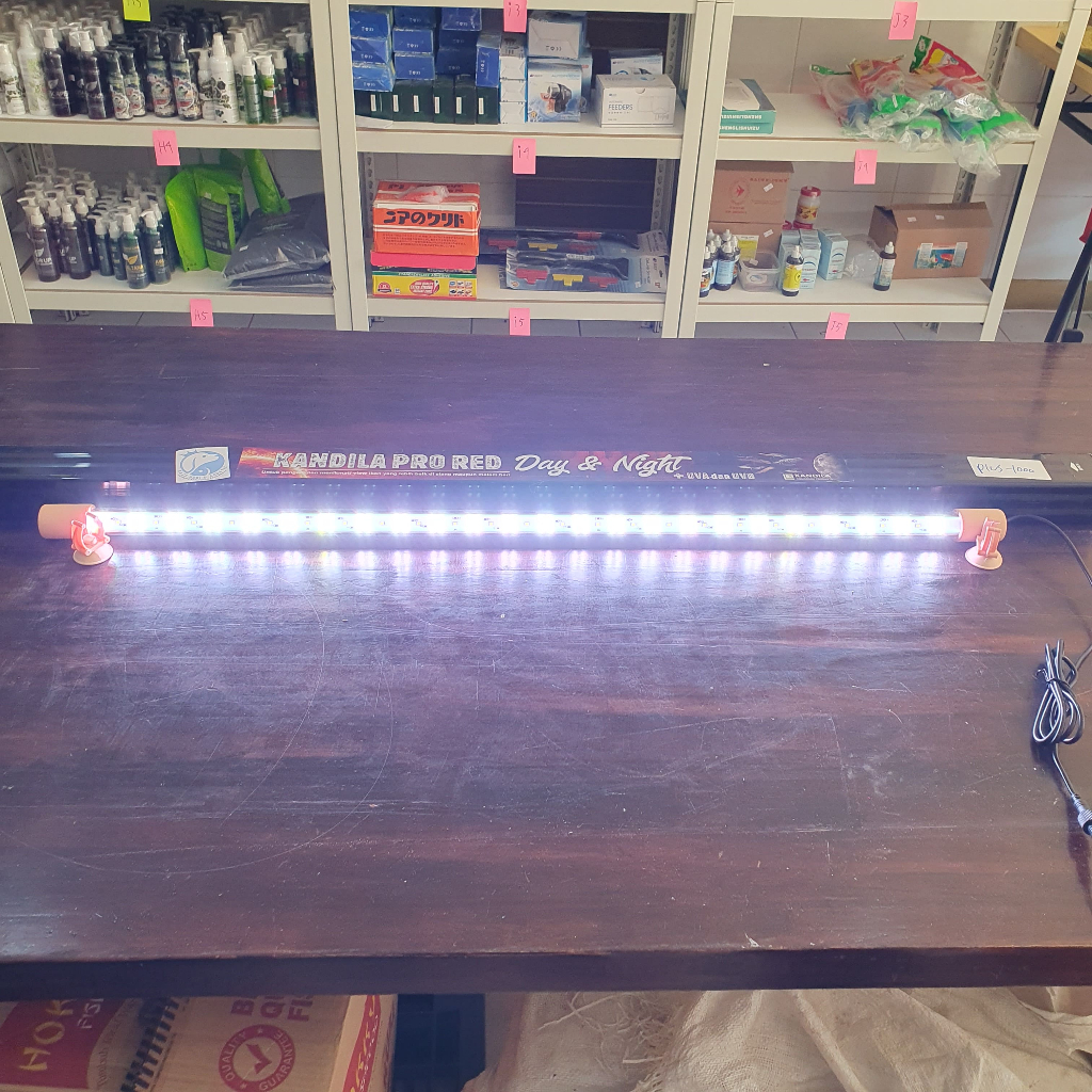 KANDILA PRO RED PLUS 1000 LED DAY AND NIGHT TANNING VIEW LAMPU LED