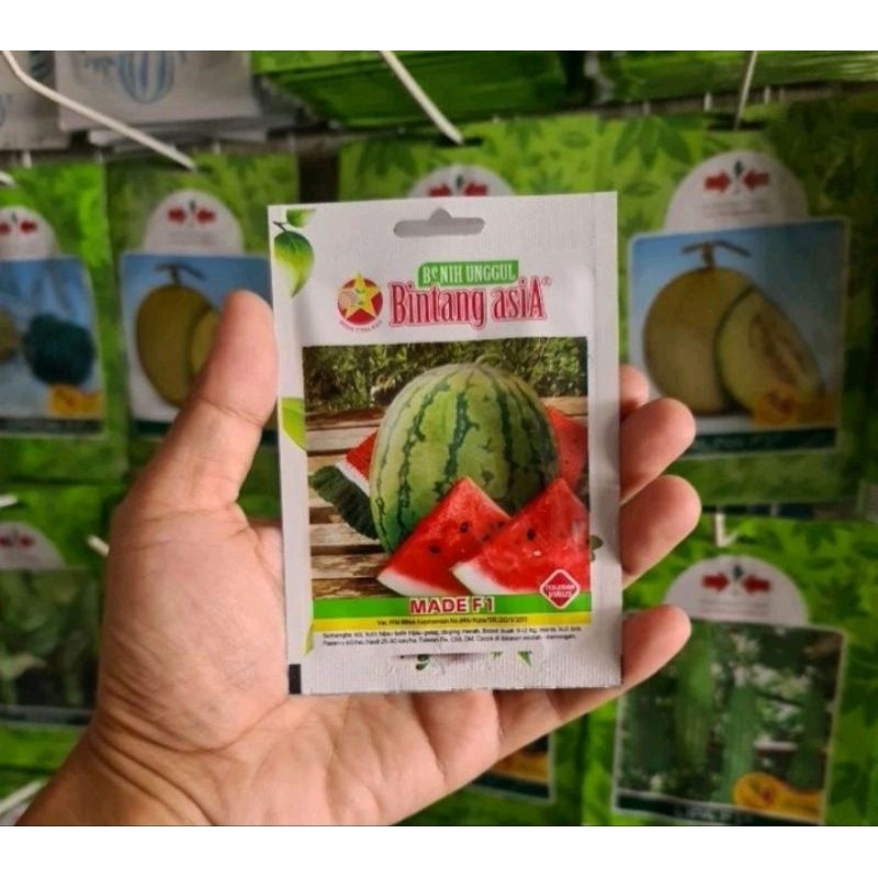Benih Bibit Semangka Made F1 Bintang Asia
