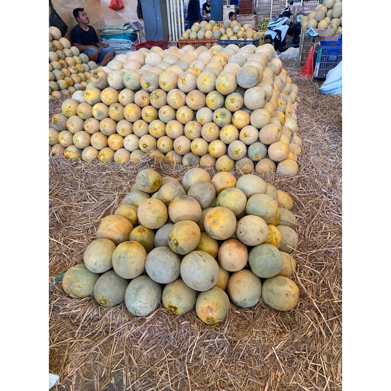 

Melon Madu