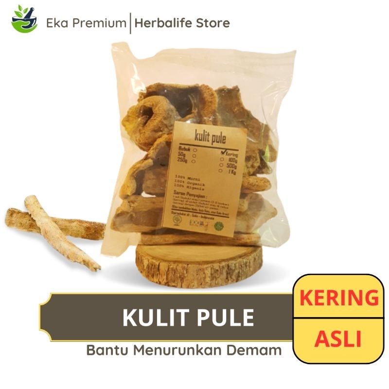 

KULIT BATANG PULE KERING Babakan Pulai Ramuan Rempah Herbal Asli Murni Jamu Minuman Alami Tradisional Simplisia Alstonia Scholaris