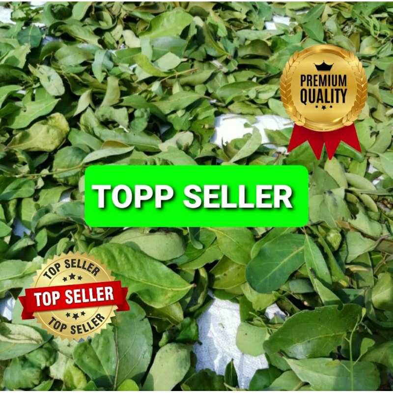 

BENALU JERUK BUAH KERING HIJAU SUPER PREMIUM 1 KG