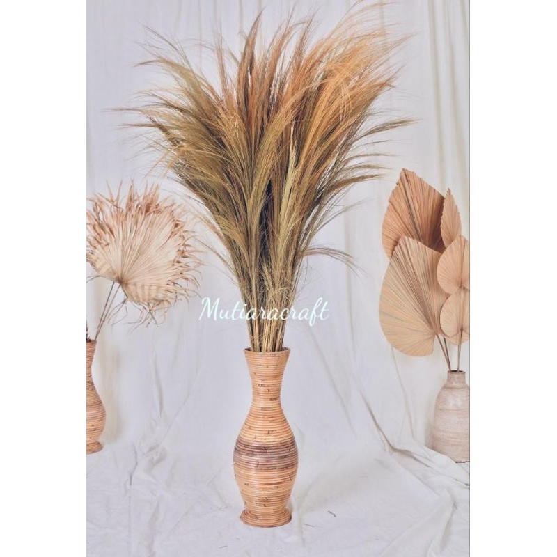 Dekorasi  RAYUNG Tanaman Daun Kering Sikas Sawit Gandum Gulma Pampas Lokal
