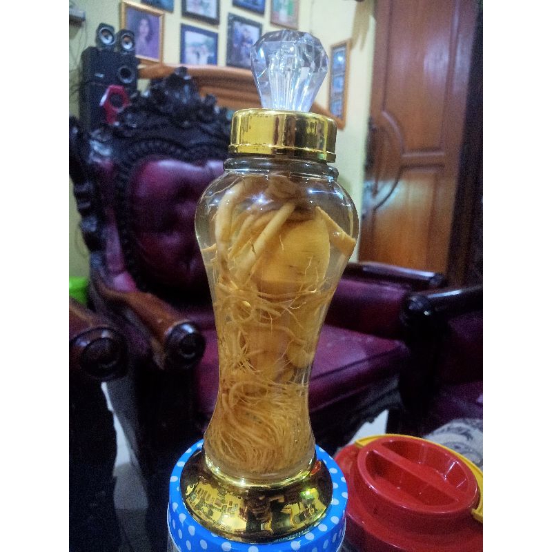 

Gingseng merah original plus botol 500ml